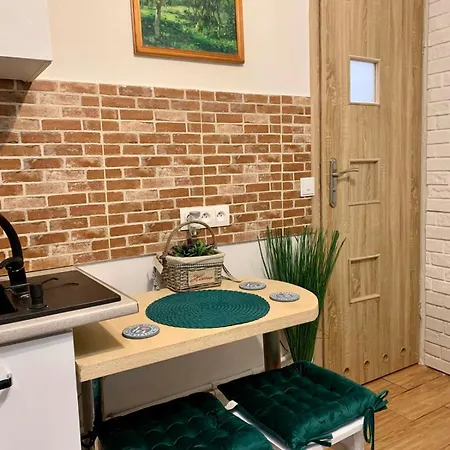 Green Apartment Krakow Appartement